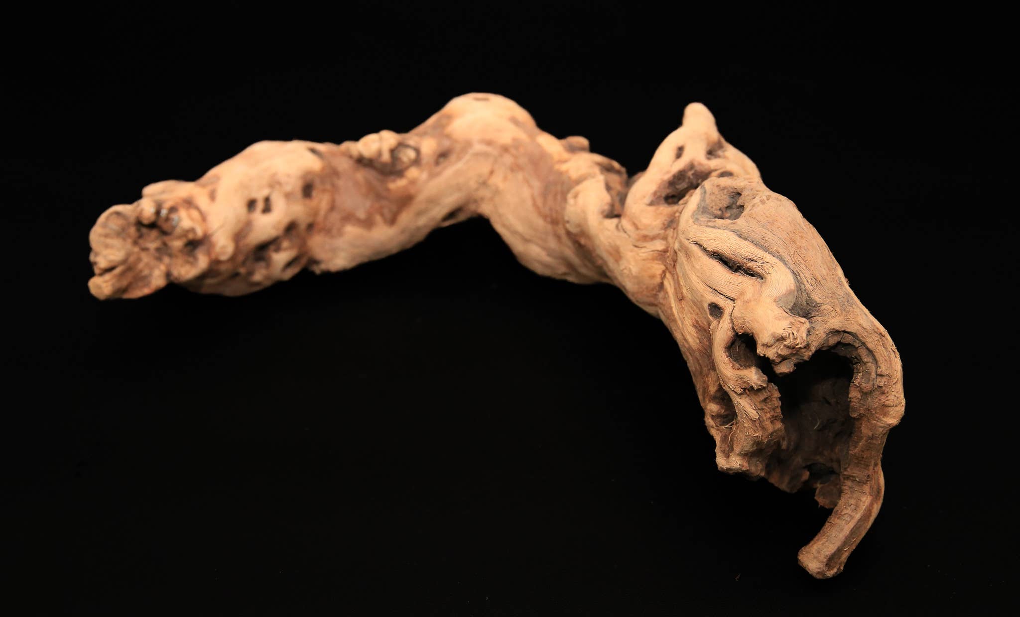 Forever Green Art - Wholesale Decorative Tabletop Object - Tumbled Grapewood Pieces2