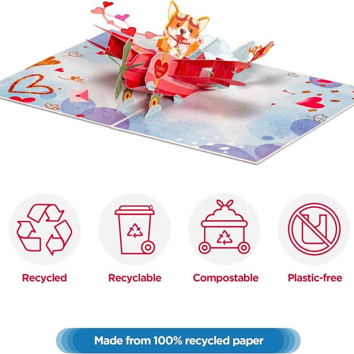 Paper Love - Wholesale Valentine's Day card - Dog Biplane - Frndly Pop Up Card 8"x6"2