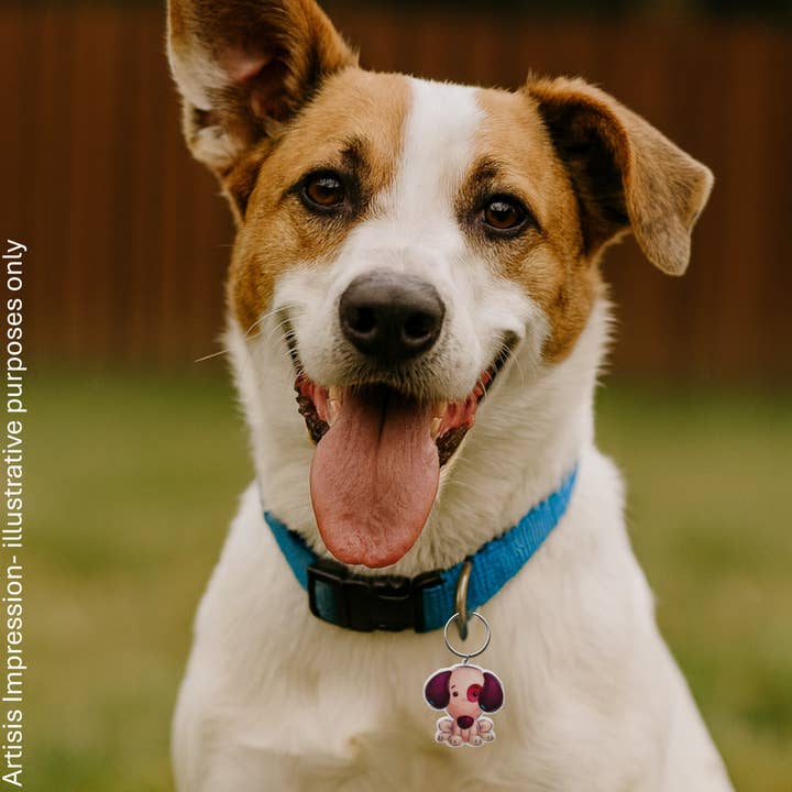 Sunbaked Lizard Jewellery & Gifts - Wholesale Pet collar charm – Dog - Puppy Dog Collar Charm | Pet Accessories| Pet charms3