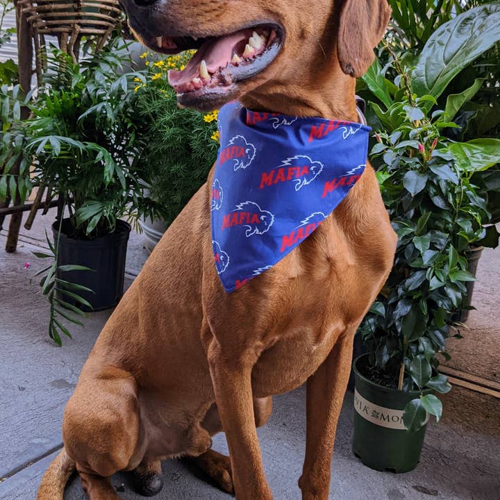 Koa's Ruff Life - Wholesale Pet Bandana - Dog - Buffalo Bills Mafia Bandana - Football Collection