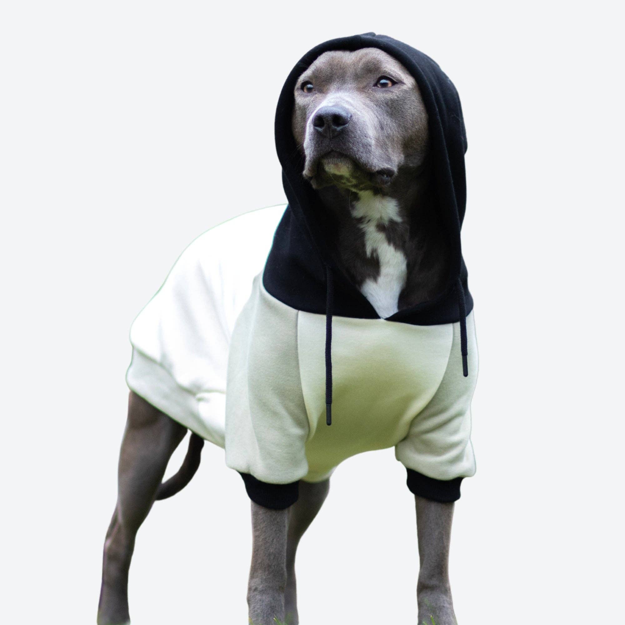 Spark Paws - Wholesale Pet Hoodie - Dog - Olive Cream Dog Hoodie5