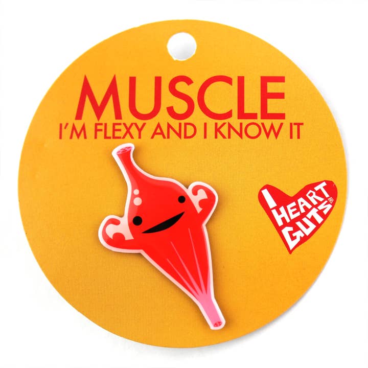 Muscle Lapel Pin - I'm Flexy and I Know It for wholesale by I Heart Guts | Organ Plushies Wholesale