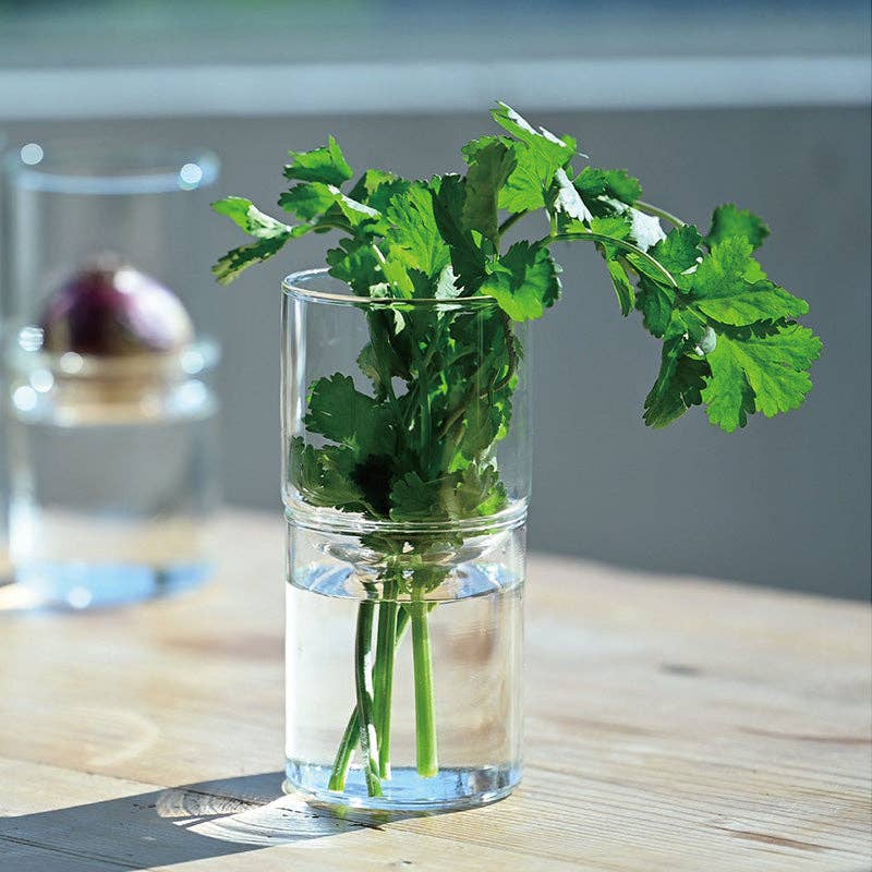 HARIO USA - Wholesale Vase - Glass Flower Vase1