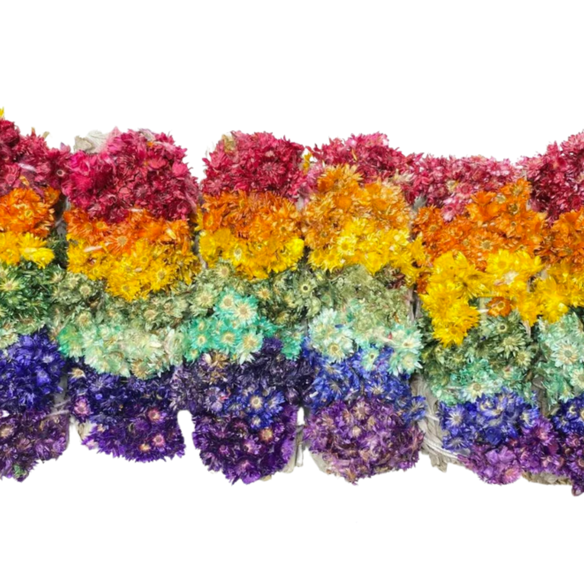 Orglamix - Wholesale Sage Bundle - Love is Love | Rainbow Floral Smudge Gay Pride Born This Way2