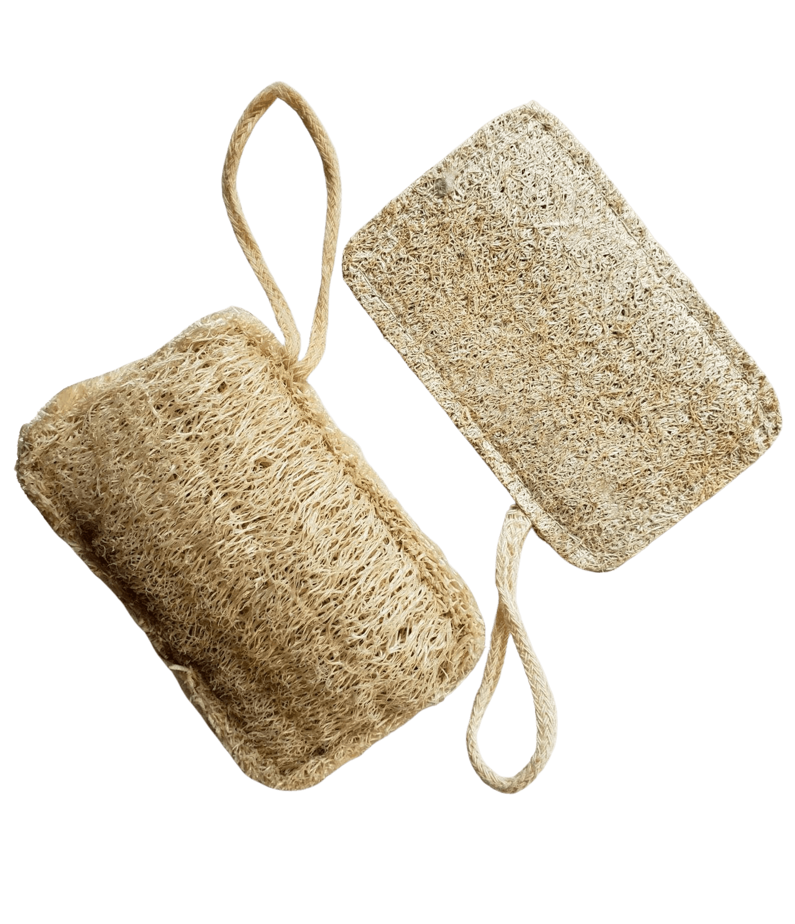 TOA Waters - Wholesale Loofah - Natural Loofah Sponge2