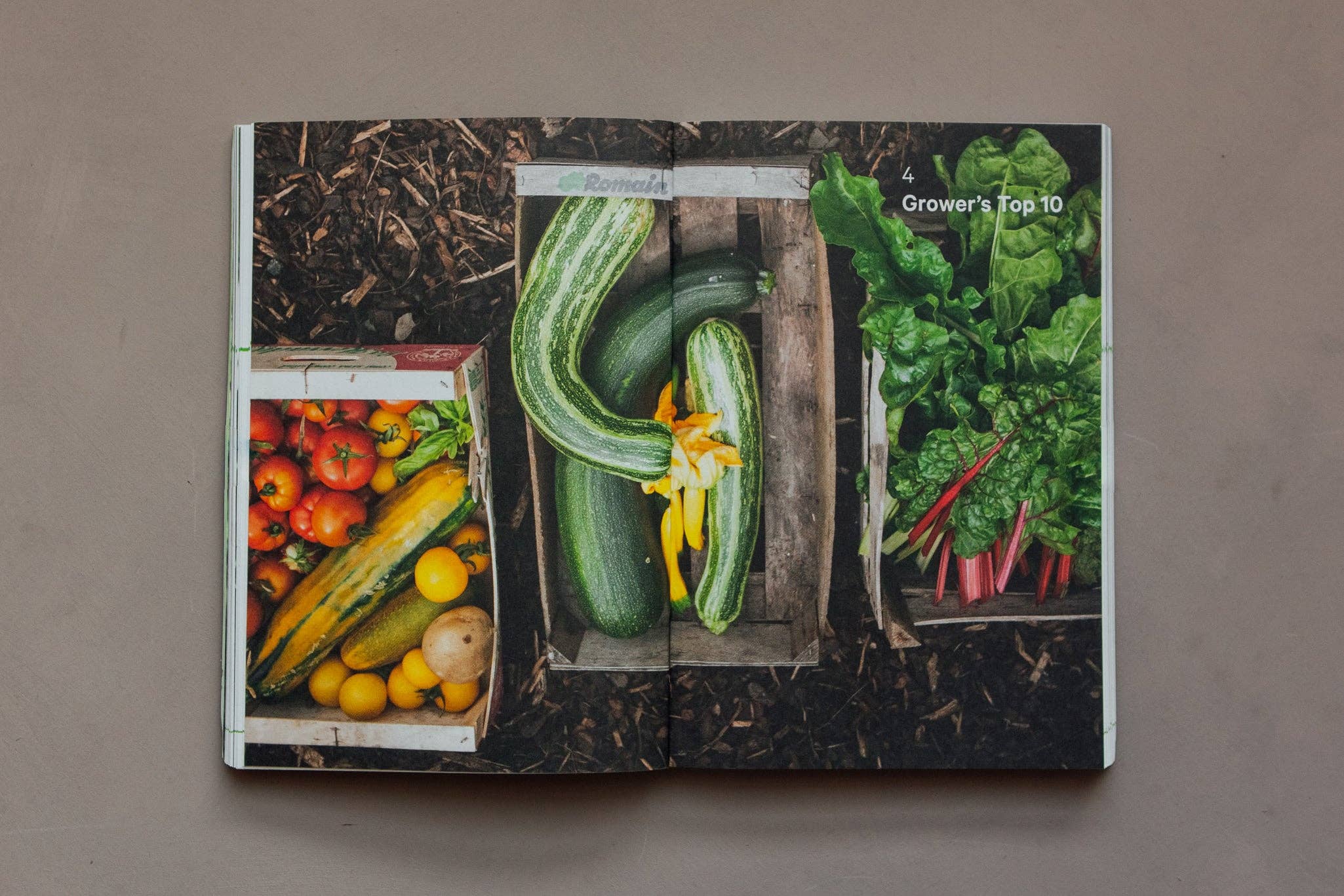 Do Books - Wholesale Home & Garden Book - Do Grow, Guide to Growing Vegetables 4