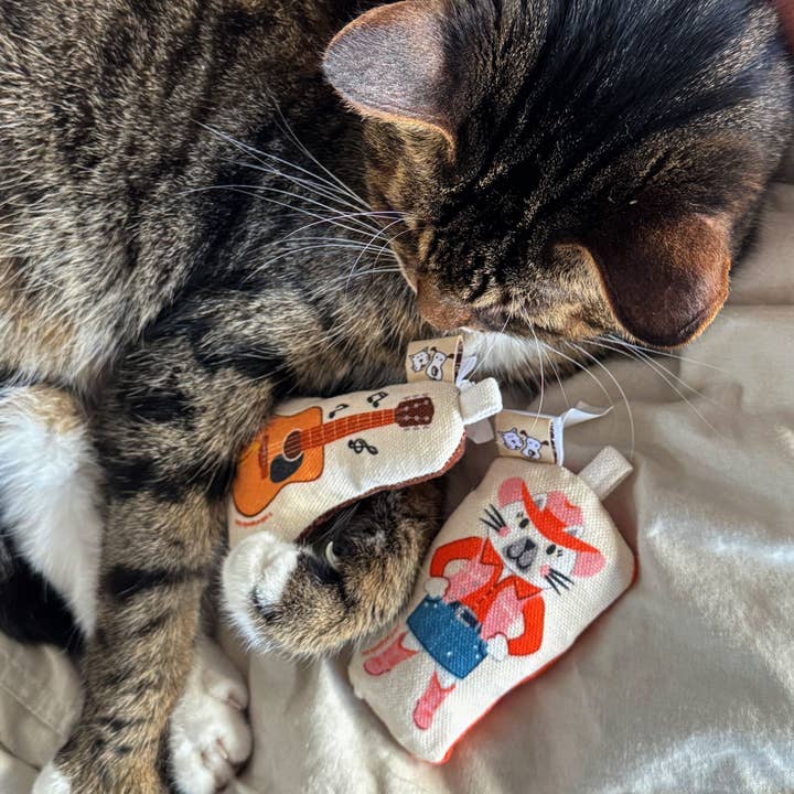 Speckle and Spot by Ore’ Originals - Wholesale Pet Toy Set - Cat - Go Kitty Go Cat Toy Set | Country Music Kitty3