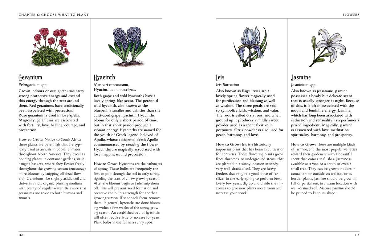 Simon & Schuster - Wholesale Body, Mind & Spirit - Green Witch's Garden by Arin Murphy-Hiscock4