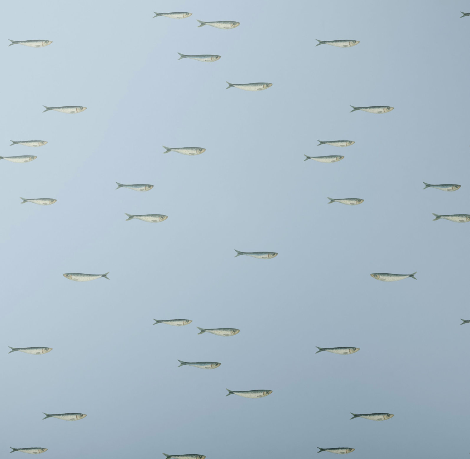 Kristin MacKenzie Fine Art – wholesale Wrapping paper roll – La Mer - Sardines | Wrapping Paper1
