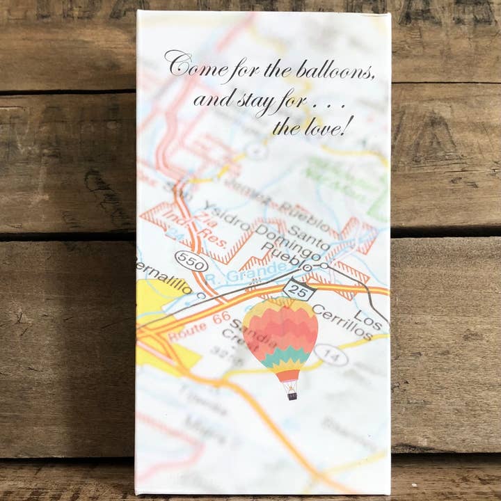 Carol Young Silver – Großhandel Kette mit Anhänger/Charm – Heißluftballon-Halskette Schmuck2