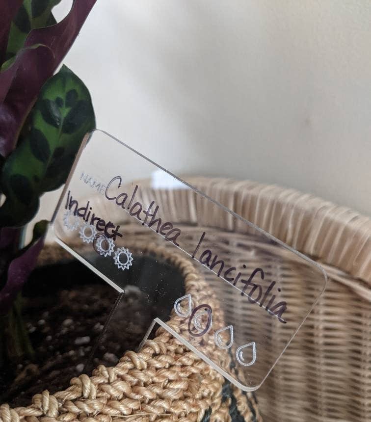 lou+teak – wholesale Garden tool – Plant Care Marker, Reusable Plant Tag, Laser Cut Acrylic4