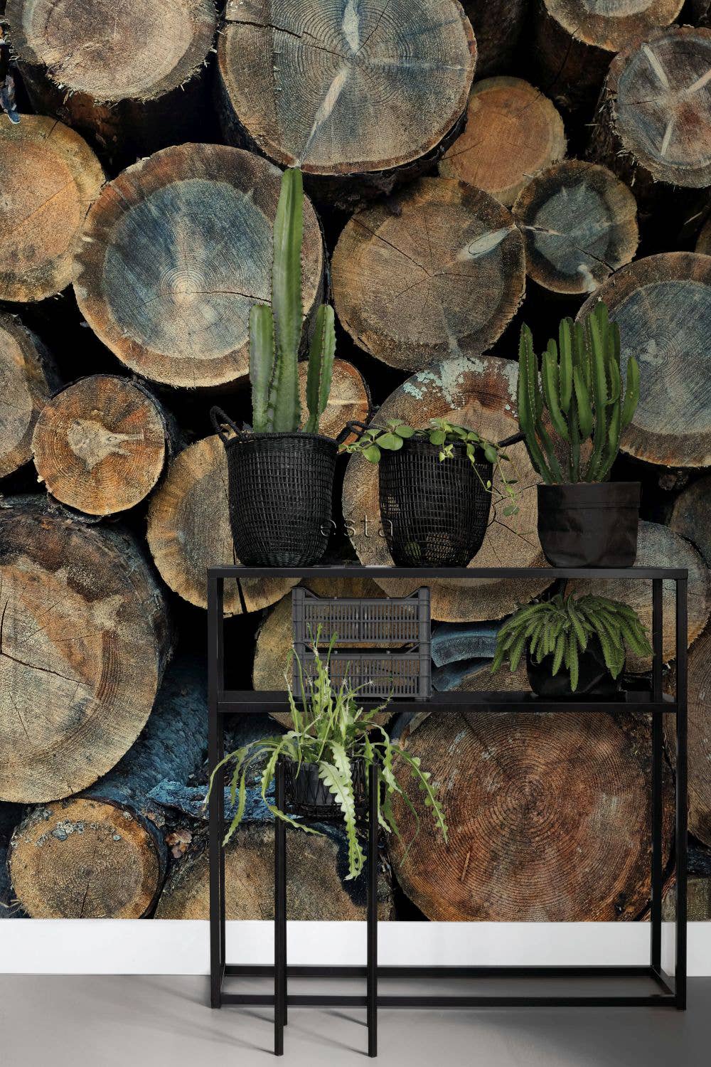 Marron Papier peint mural bûches de bois en vente sur Faire0