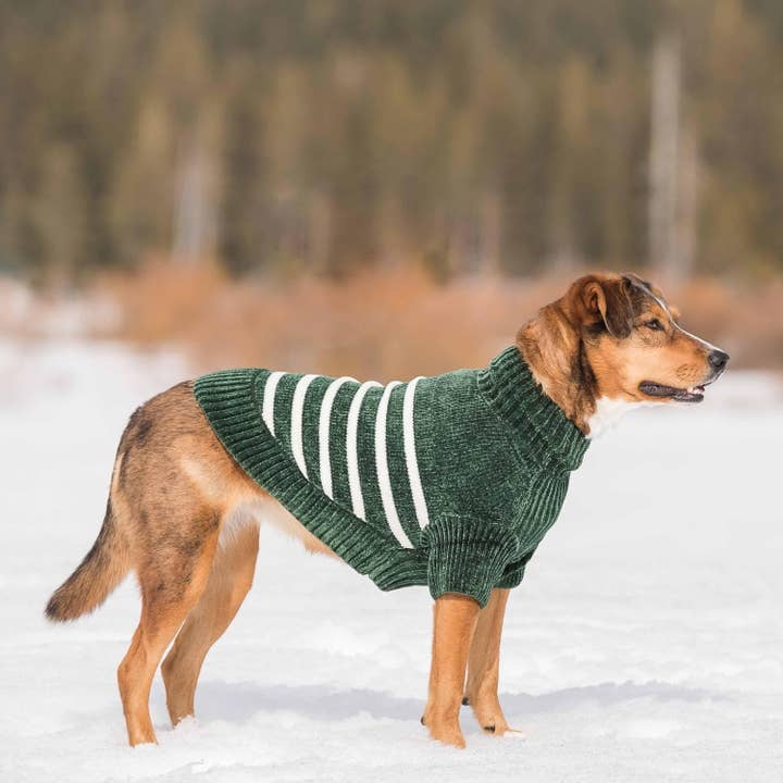 Blueberry Pet - Wholesale Pet Sweater - Dog - Ultra Soft Chenille Dog Sweater, Small to Large Breeds