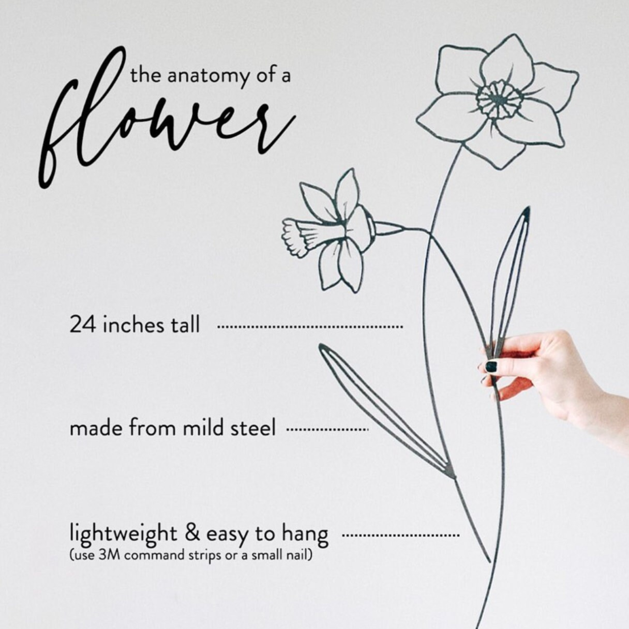 Keystone Steel Co. - Wholesale Wall Accent - Sunflower Flower Wall Decor5