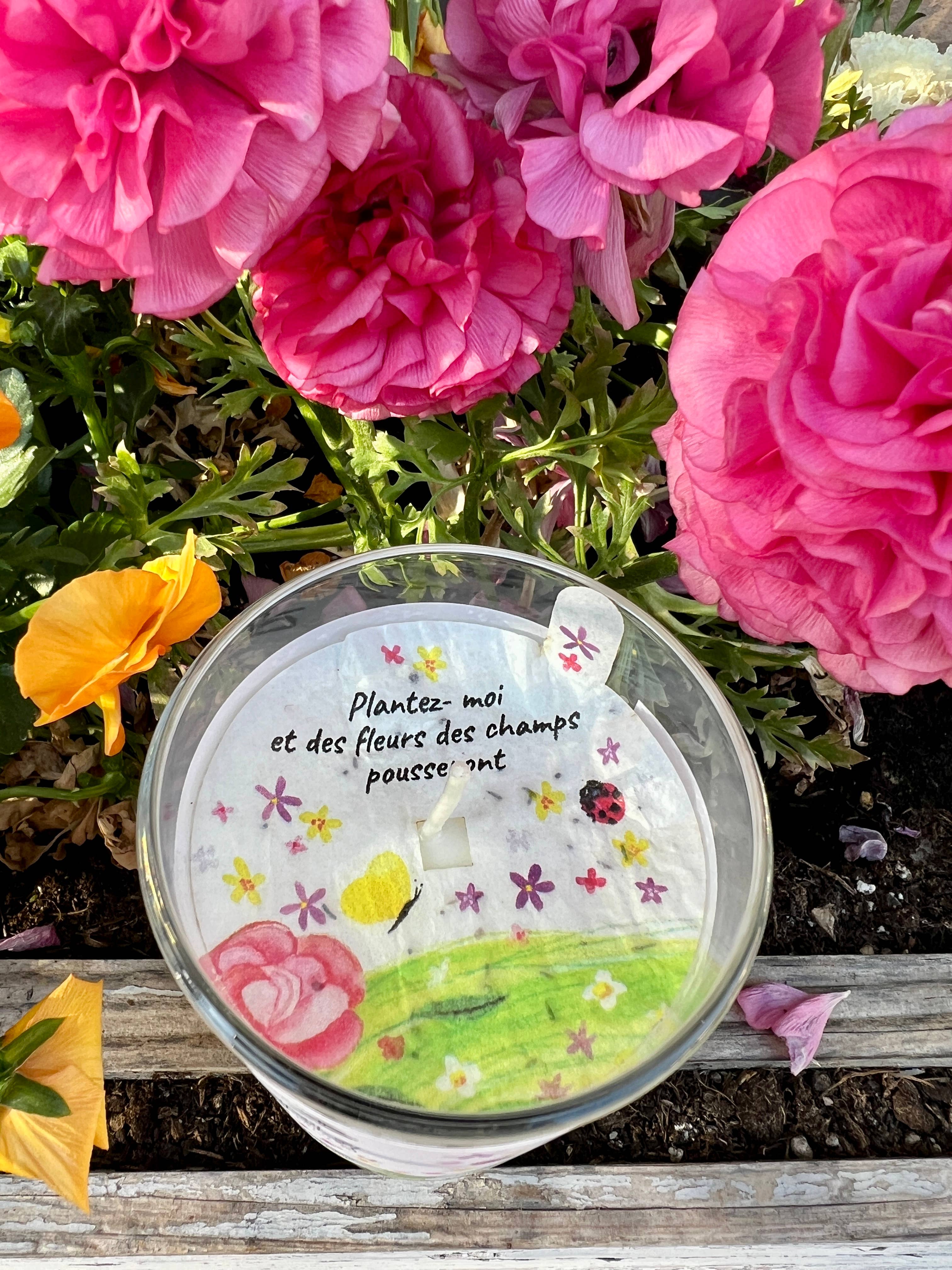 Les cartes de Lulu - Wholesale Novelty Candle - Candles to plant the cards of Lulu x Bougie d'Alsace11