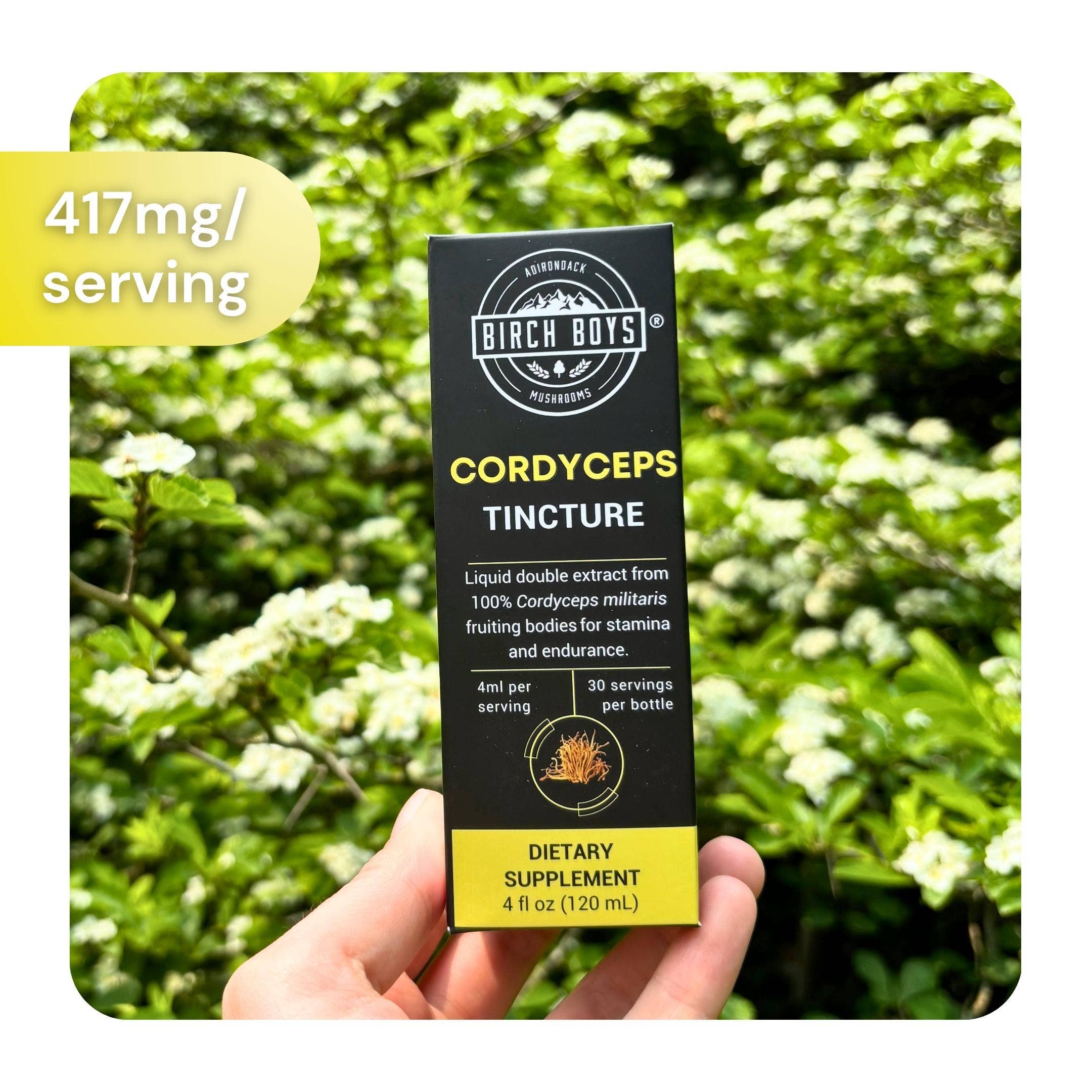 Birch Boys - Wholesale Tincture - Cordyceps Tincture1