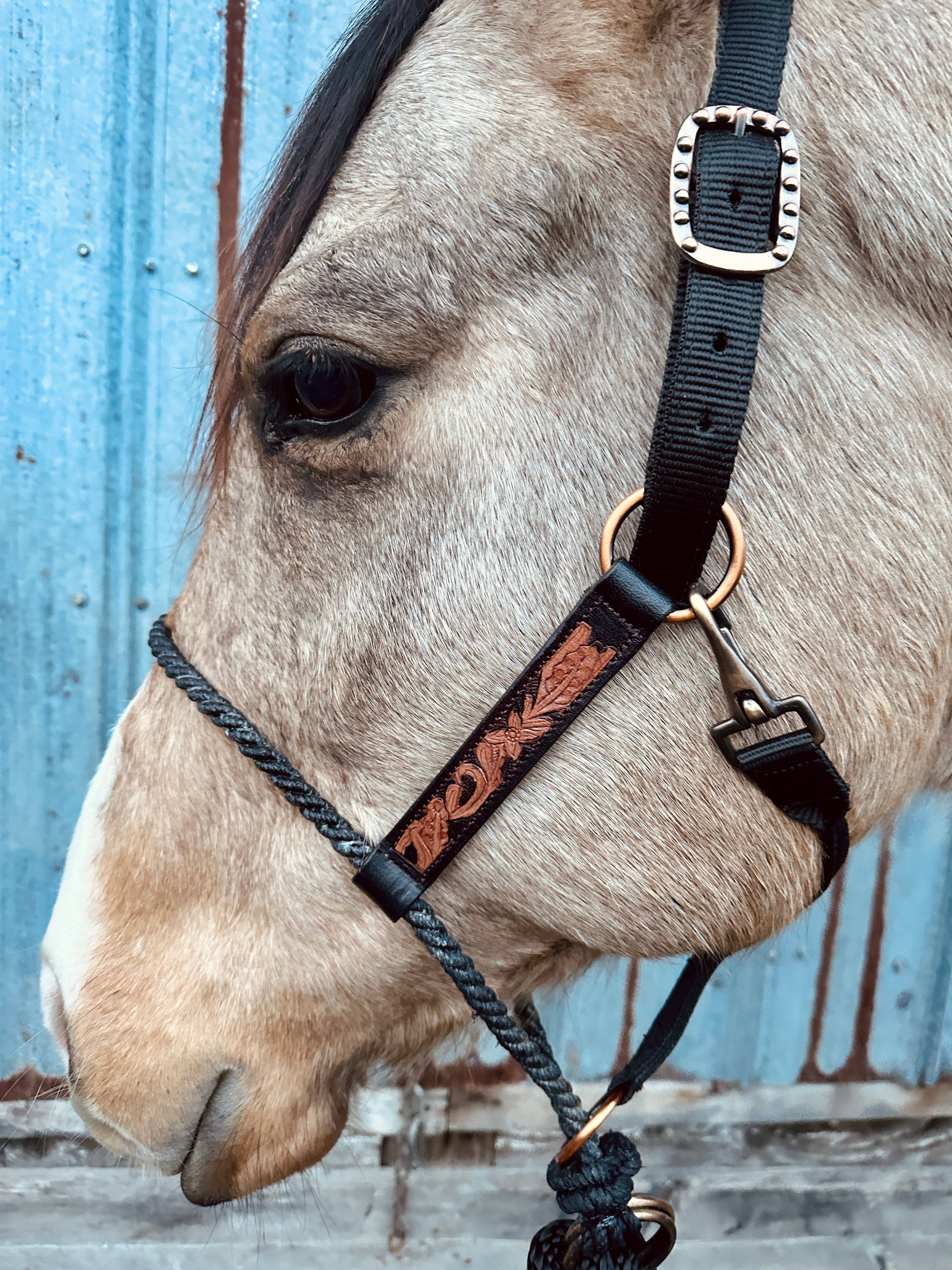 Schulz Equine - Wholesale Horseback Riding Gear - Lariat Nose Halter6