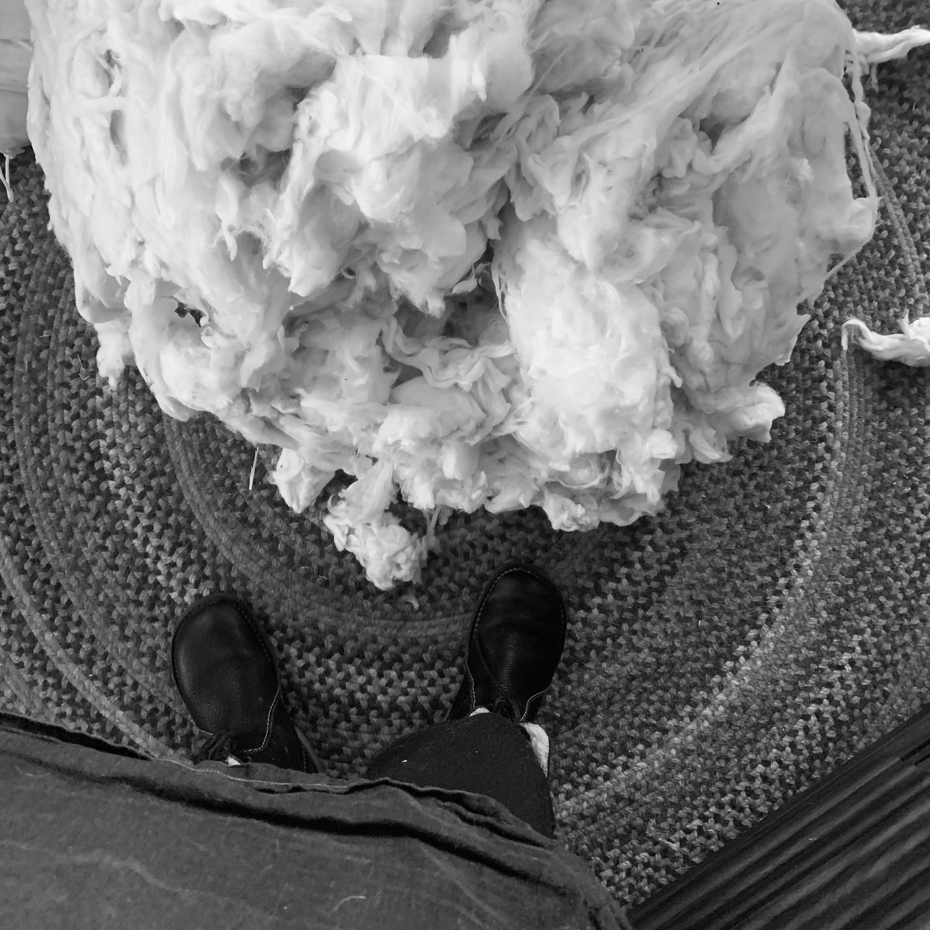 Ciao Gatto Cat Market - Wholesale Pet Toy - Cat - Organic Catnip Infused Wool Sardines 7