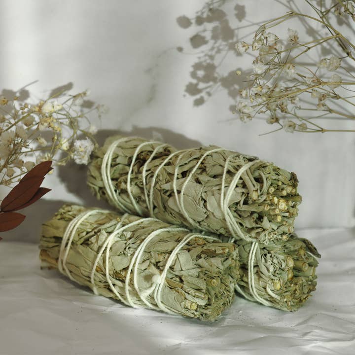 Vives de la Cortada S.L – wholesale Sage bundle – California White Sage (Salvia Apiana)2