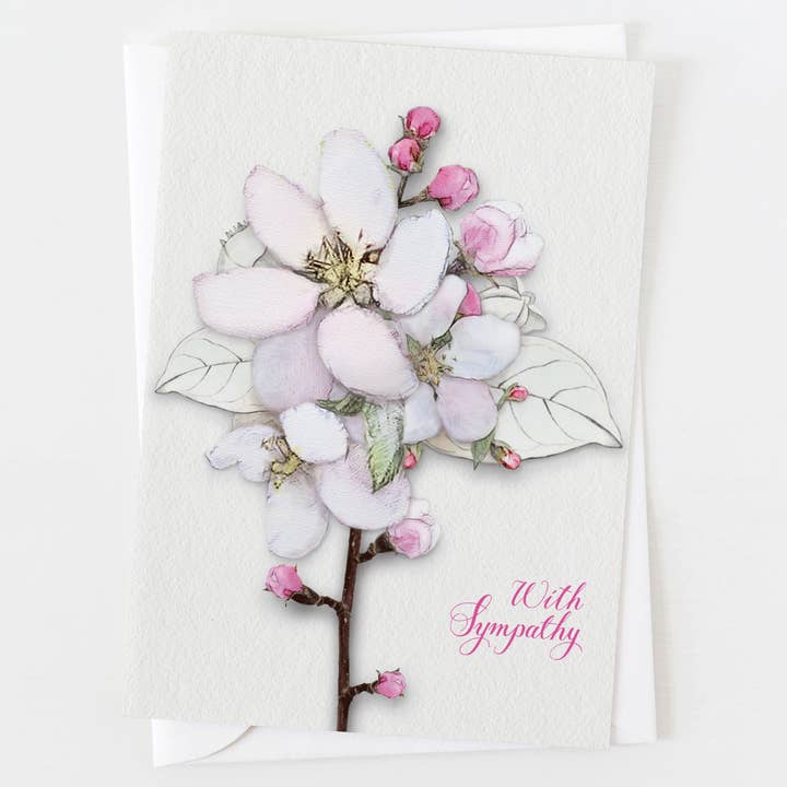 Magnolia Floral Sympathy Card C_1822 for wholesale by Ann Scott Design