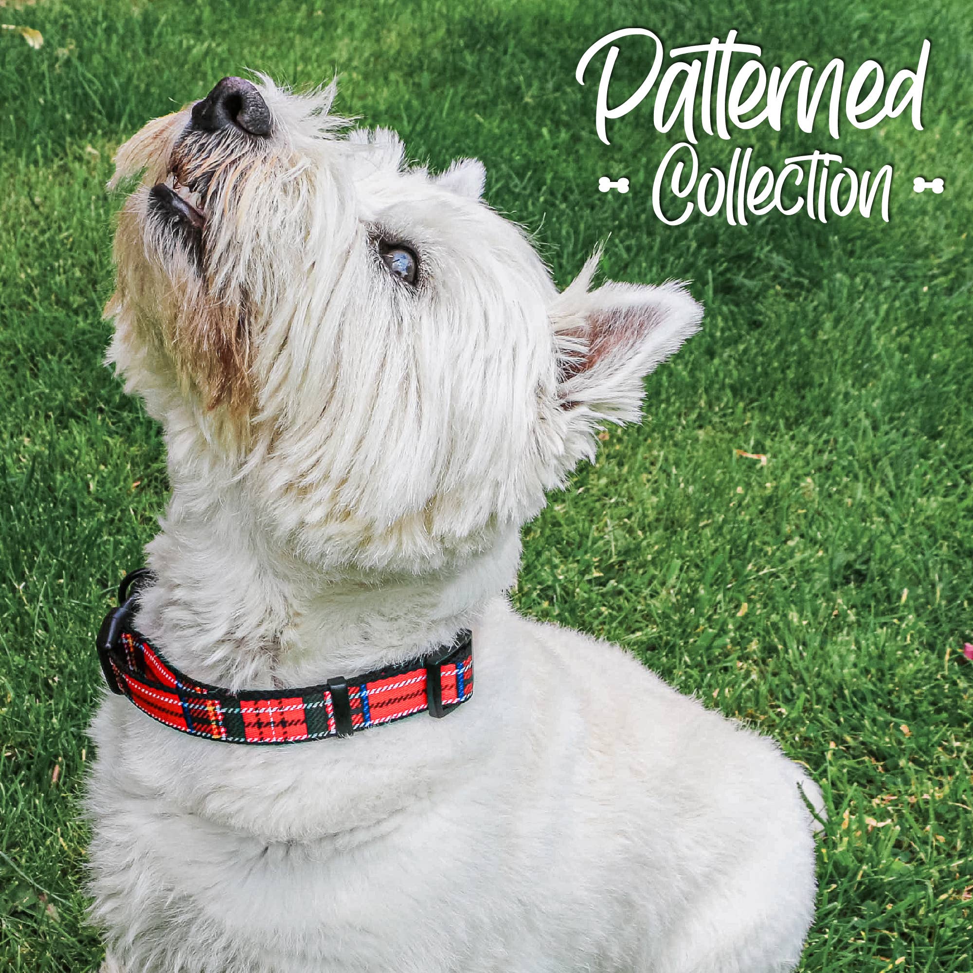 Ancol Pet Products Ltd – Engroshandel Halsbånd - Hund – Mønstret Kollektion Krave: Tartan2