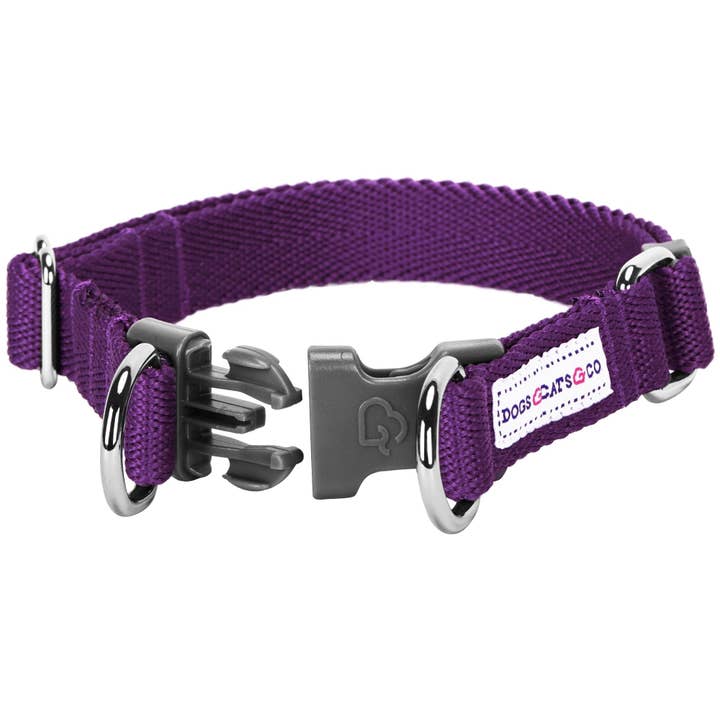 Blueberry Pet - Wholesale Pet collar – Dog - Best-Seller Double D-Ring Dog Collar -Must-Have for All Dogs35