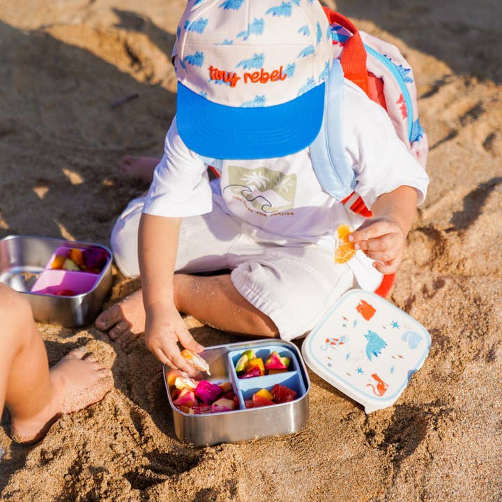 the cotton cloud - Wholesale Water Bottle - Insulated Stainless Steel Bottle for Kids Meowtiful Cats2