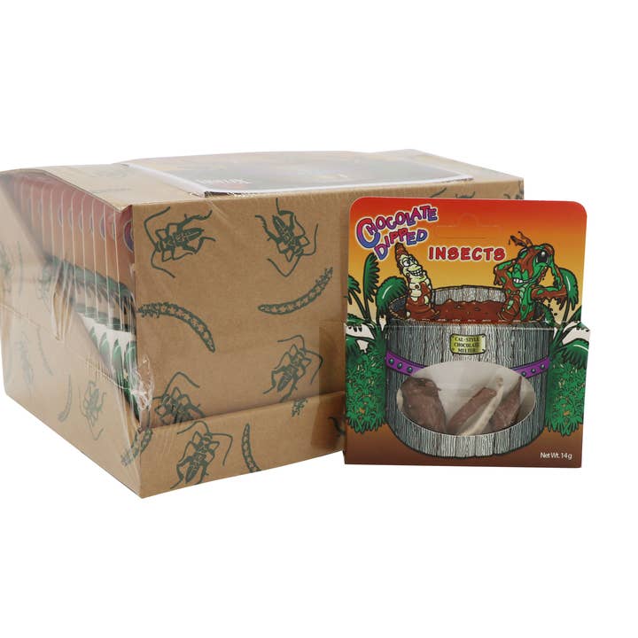 Chocolate Dipped Insects, 14g, 24ct Case for wholesale by Grandpa Joe's Candy Shop