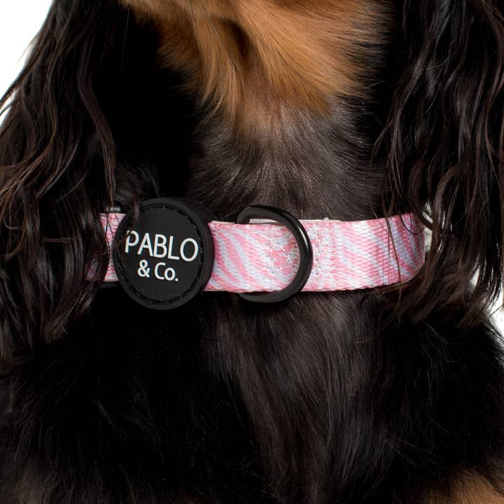 Pablo & Co. Boutique - Wholesale Pet Collar - Dog - Pink Zebra: DOG COLLAR