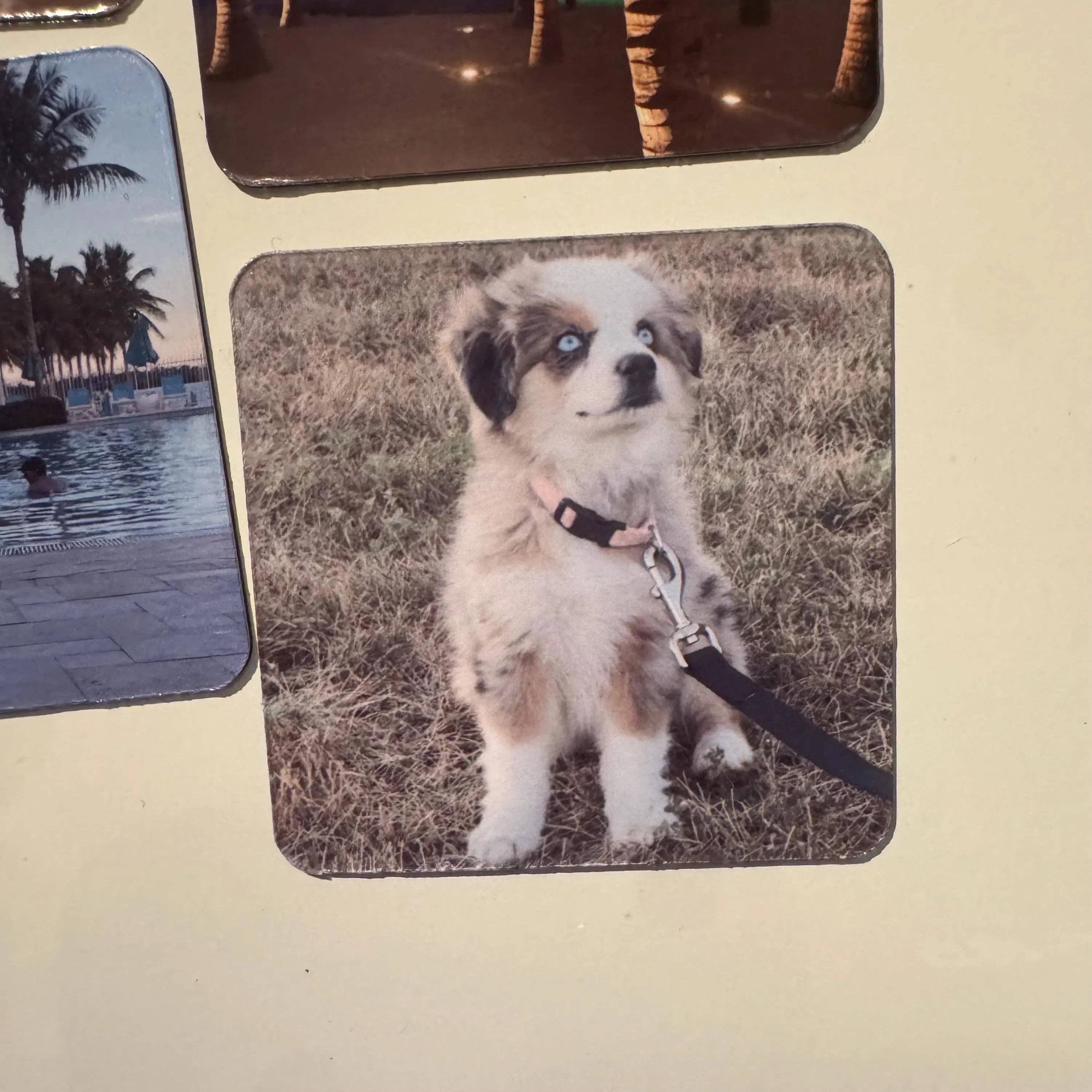 ASAP Craft Supplies - Wholesale Magnet - Custom Photo Magnets – Personalized Picture Magnets | Fridge Magnets with Your Photos | Gift for Family, Wedding Favors, Pet Magnet4