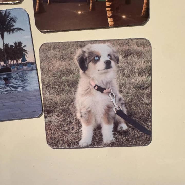 ASAP Craft Supplies - Wholesale Magnet - Custom Photo Magnets – Personalized Picture Magnets | Fridge Magnets with Your Photos | Gift for Family, Wedding Favors, Pet Magnet4