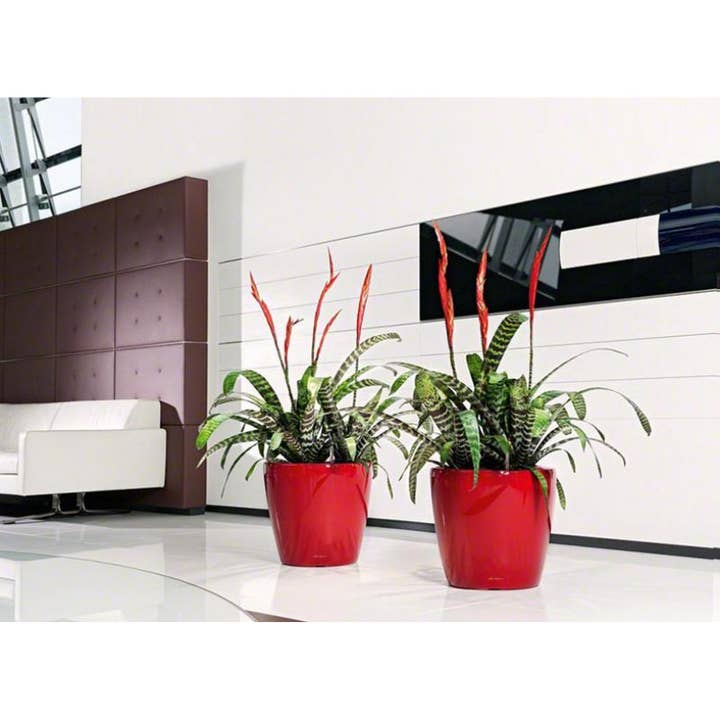 Lechuza Self Watering Planters - Vendita all'ingrosso Vasi per piante - LECHUZA CLASSICO LS Vaso rotondo in poliresina17