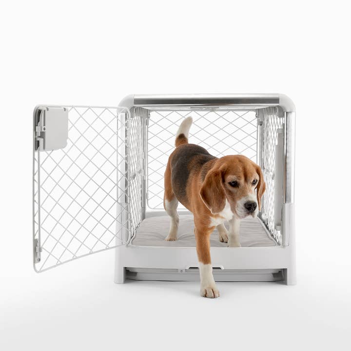 Ash White Revol Collapsible Dog Crate for wholesale on Faire