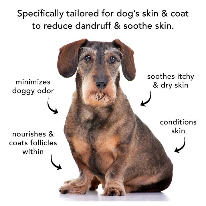 PRIDE+GROOM – Großhandel Haustiershampoo – Hund – DIE GALLONE FÜR DEN SENSIBLEN EIN-PROFESSIONELLEN GEBRAUCH4