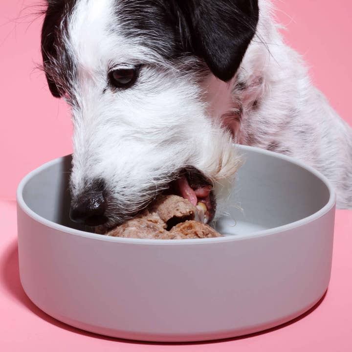 Animagus GmbH - Wholesale Pet Food - Dog - Wet food lamb with apple - Wet food for dogs3