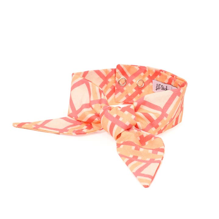 Taffy Plaid - Frenchie Twist Dog Necktie for wholesale by Lil' Archie's