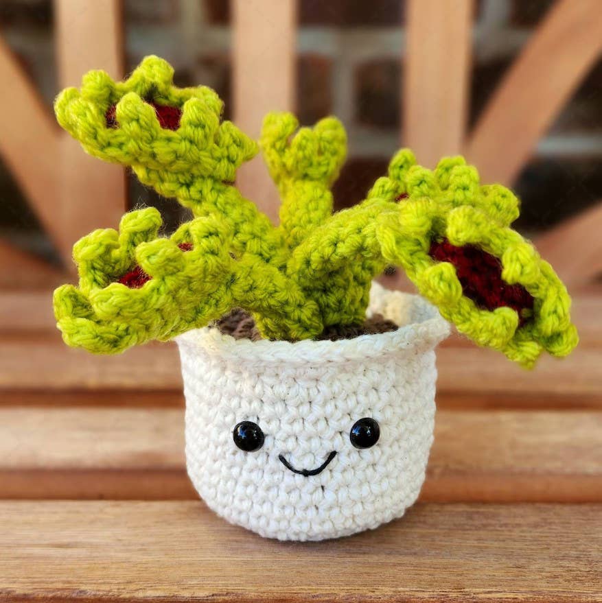 TOMOPOD LLC - Wholesale Decorative Tabletop Object - Crochet Succulent Plant, Houseplant Decor, Plant Lover Gift6