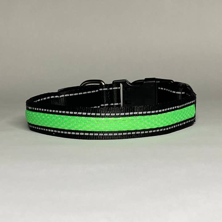 Puppy LED - Wholesale Pet Collar - Dog - LED Dog Collar