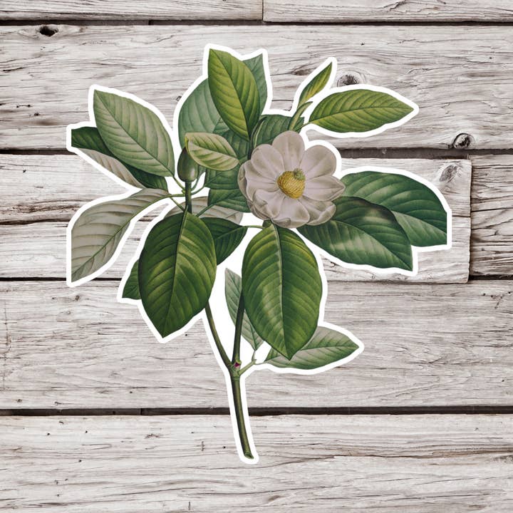 Magnolia Flower Sticker, Flower Sticker, Botanical Sticker for wholesale by NatureCuts