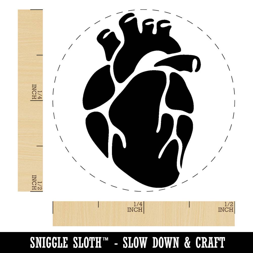 Sniggle Sloth - Wholesale Rubber/Decorative Stamp - Realistic Heart Four Chambers Anatomy Biology Love Science Rubber Stamp for Stamping Crafting Planners0