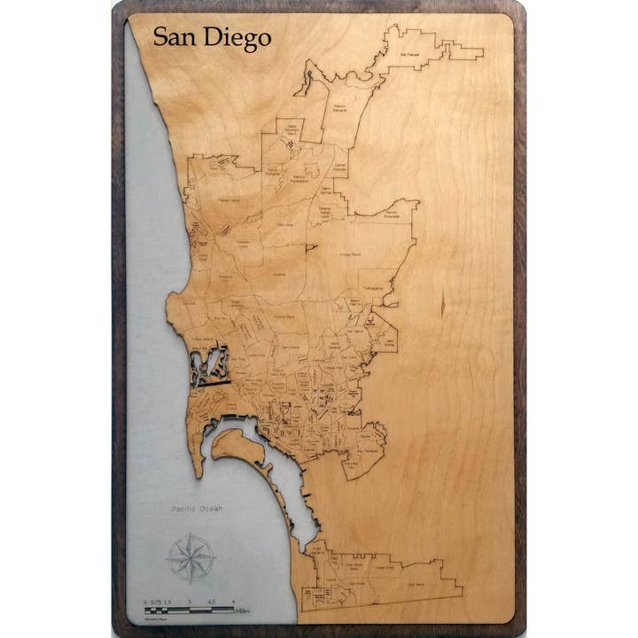 Mappa in legno di San Diego, CA per la vendita all'ingrosso da parte di Meridian Maps