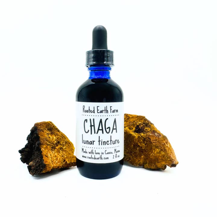 Rooted Earth Farm + Apothecary - Wholesale Tincture - Maine Chaga Tincture - 2 Size Options