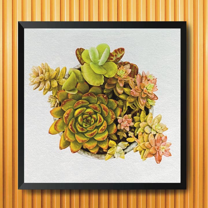8x8 Potted Succulent Art Print, Floral Art Print for wholesale by blonde birdie