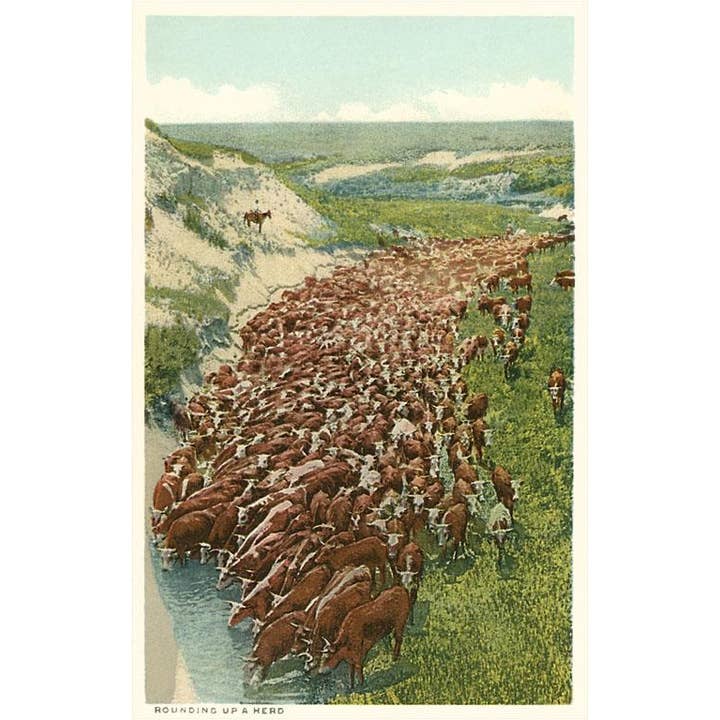 Found Image Press - Wholesale Sticker - Sticker TW-82 Cattle Drive, Rounding up the Herd