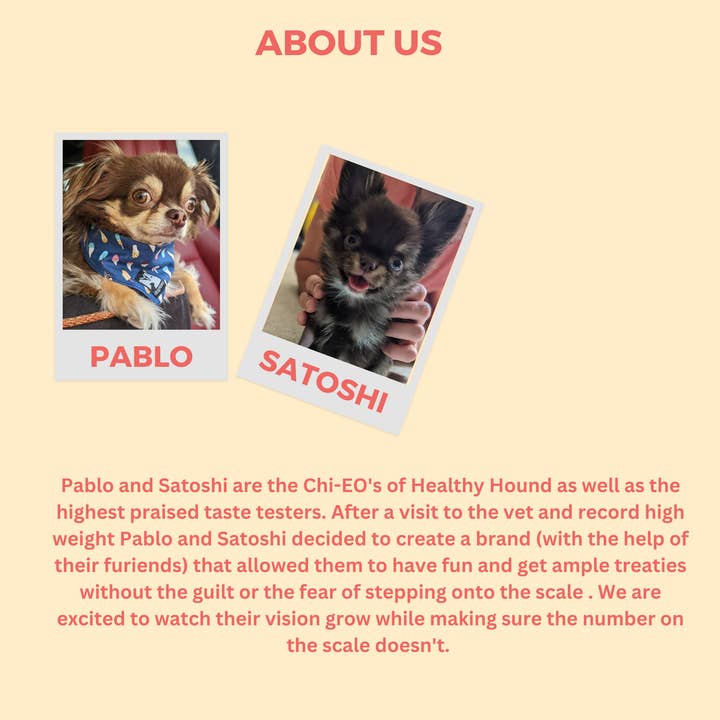 Healthy Hound - Vendita all'ingrosso Snack - Cani - Snack per cani con banana e burro di arachidi4