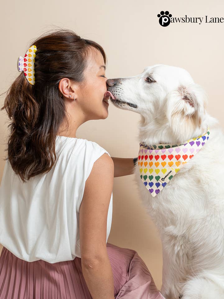 Matching Pet and Owner: Claw Clip + Bandana - Love in Color for wholesale by Pawsbury Lane