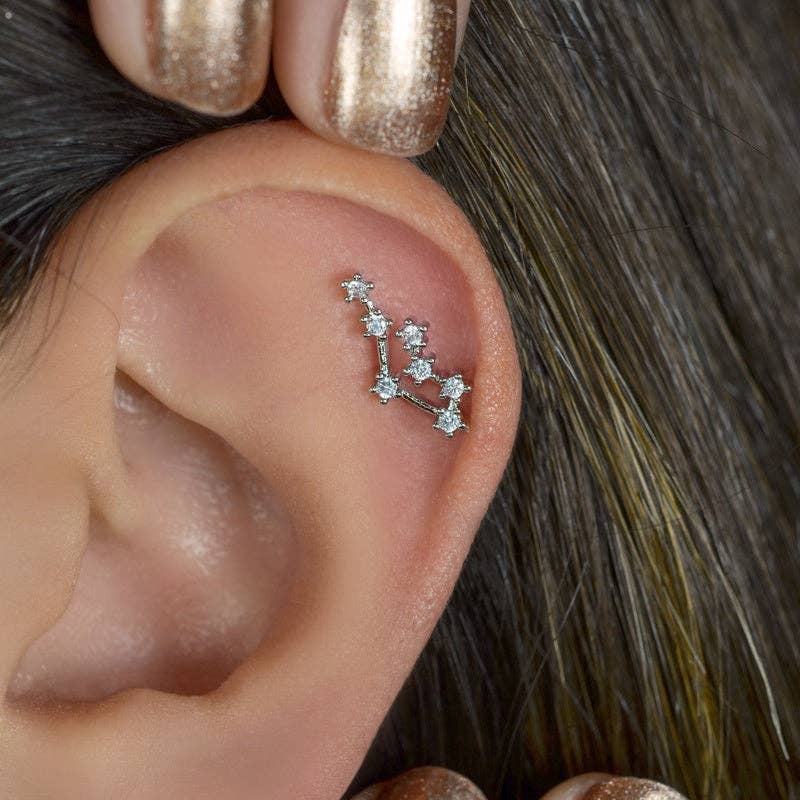 StockJWL - Wholesale Stud/Post Earrings - 12 Zodiac Earrings, Constellation Stud Earring Stud Piercing Tragus Helix Lobe and Cartilage Silver And Gold18