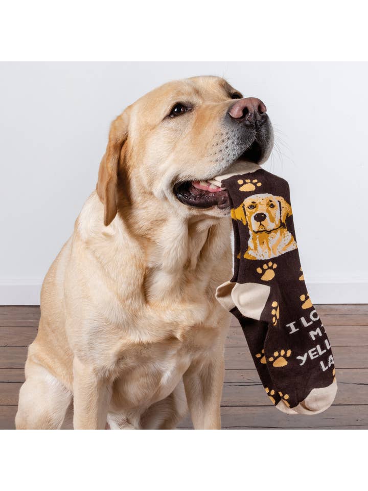 Primitives by Kathy - Wholesale Socks - Unisex - I Love My Yellow Lab Socks