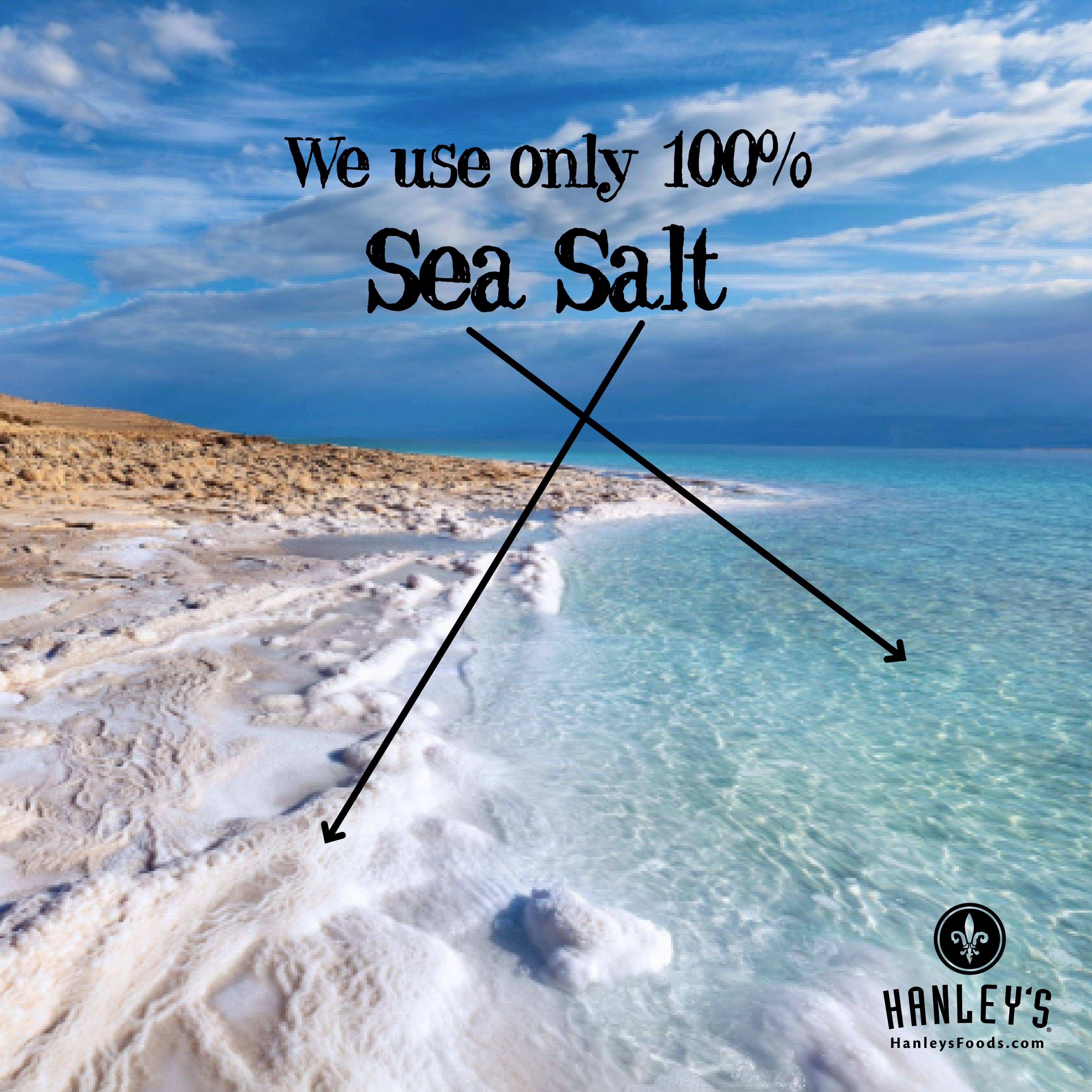 Hanley's - Wholesale Salad Dressing - Balsamic vinaigrette4