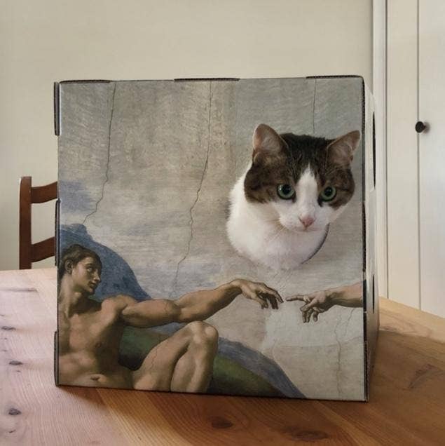 Cat Box Classics - Wholesale Krabpaal - Kat - Cartonnen kattenhuis met krabpaal in beroemde schilderijenstijl6